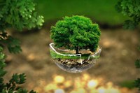 Green Life: l’urgenza di cambiare, ciclo di webinar sul futuro del pianeta