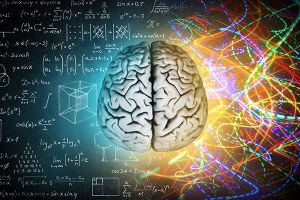 Come apprende il cervello? Seminario online sulla didattica Brain based